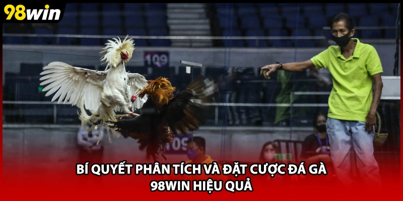 Bí quyết phân tích và đặt cược đá gà 98WIN hiệu quả